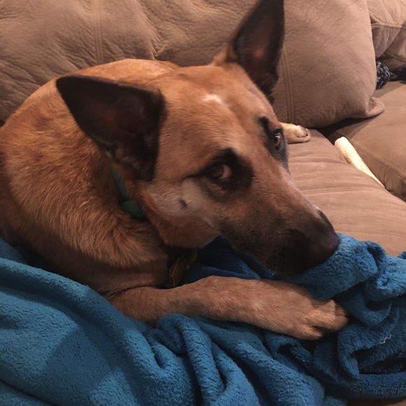 Meet your Posher, Mary - Picture 1 of 1